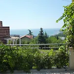 вила елфи