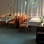 вила елфи