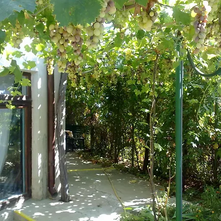 Elfi Πανσιόν Golden Sands