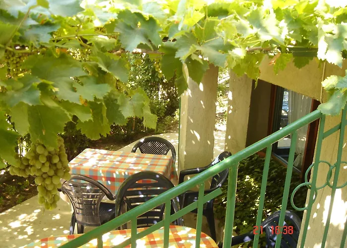 招待所 艾尔菲别墅酒店 2*