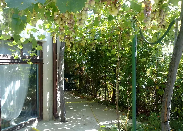 艾尔菲别墅酒店 招待所 金沙